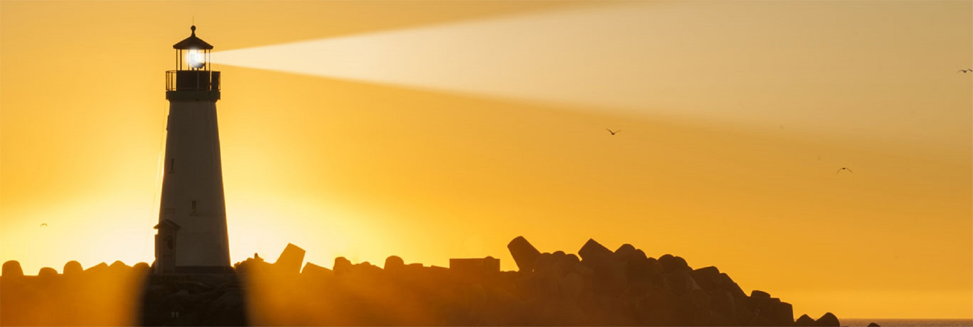 Institute of Medicine & Law